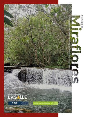 cover image of Municipio de Miraflores (Guaviare)